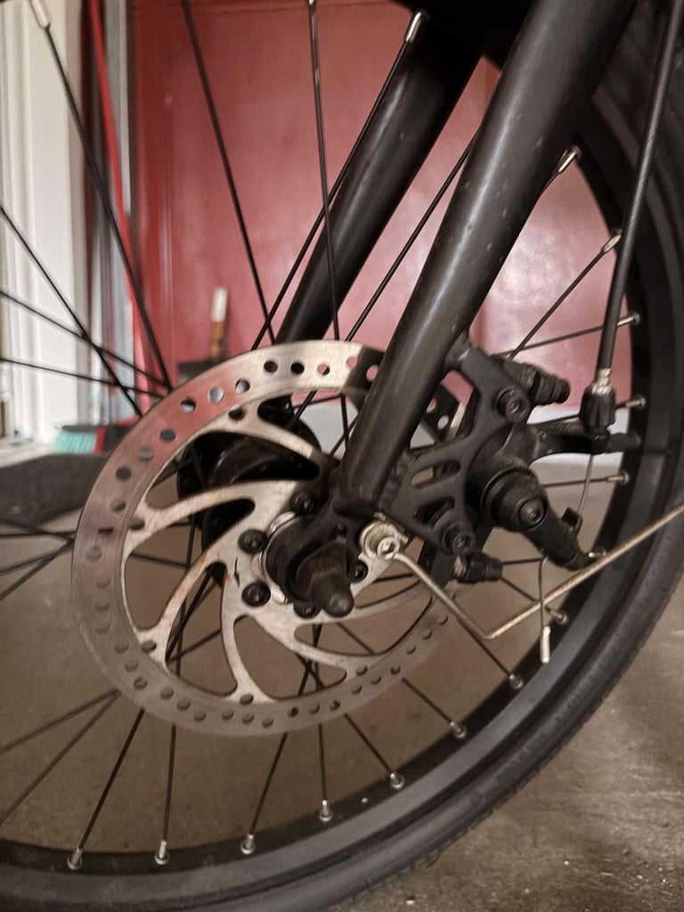 Fiido D4S Folding Electric Bike