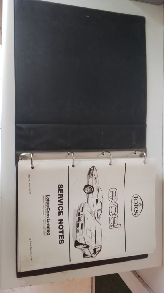 Lotus Eclat Excel Workshop Manual.