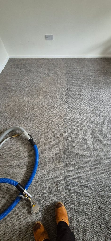 Carpet cleaner