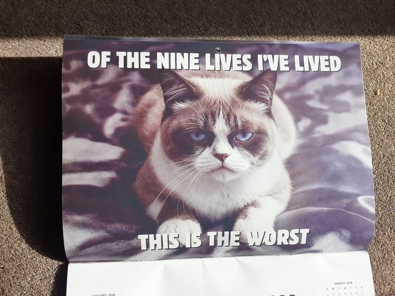 Humorous cat calendar for 2026 - nice large by Month size