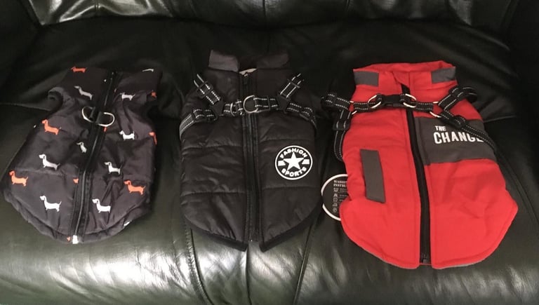 dog coats for smaller dog