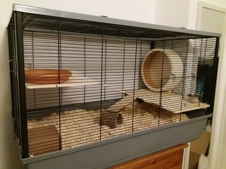 Hamster Cage and Accessories: Langham XL Rat Hamster Small Animal Cage - 100 x 54 x 61cm 