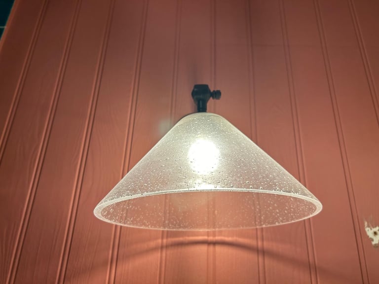 2 Glass Lampshades