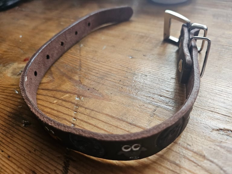 Small leather collar with owls