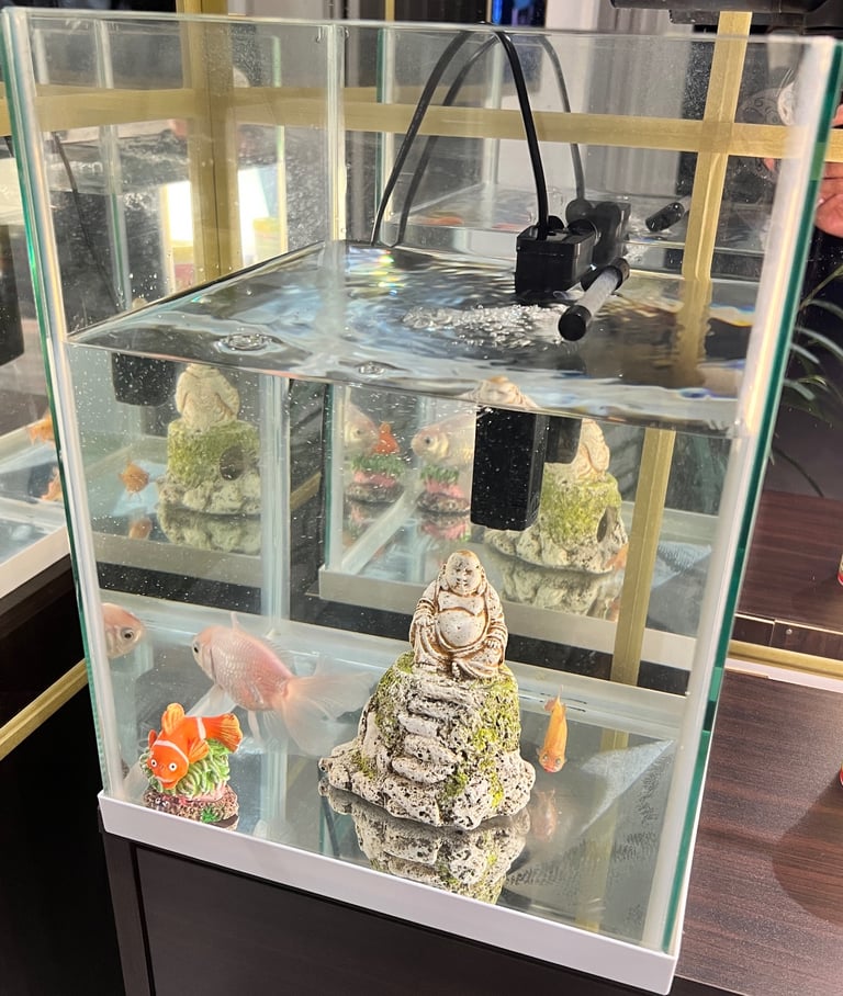 image for 22L Aquarium Fish Tank Setup - Filter, Feeder, Food & Accessories - £40 (Complete Kit)