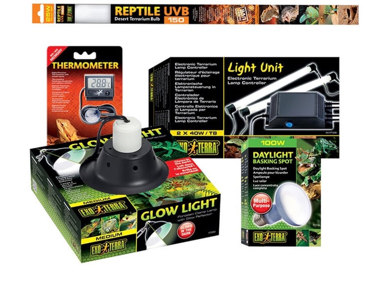 Vivarium reptile home 