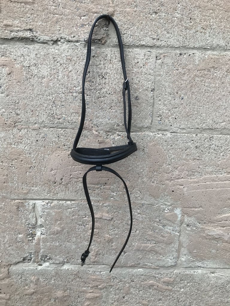 image for Leather Pony Nose Band