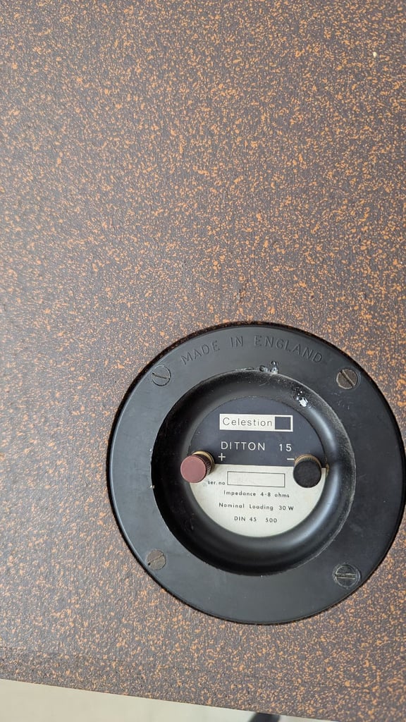 Celestion speakers x2 in Teak casing