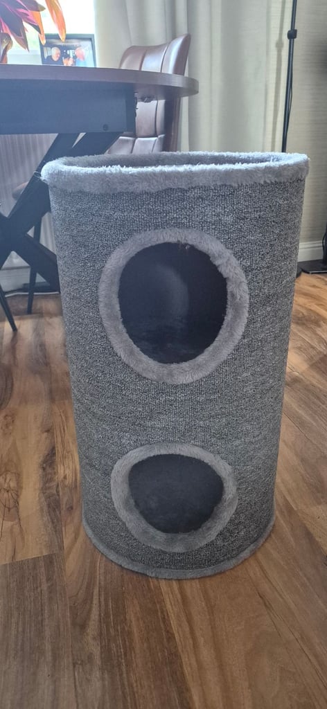 Cat hiding thing