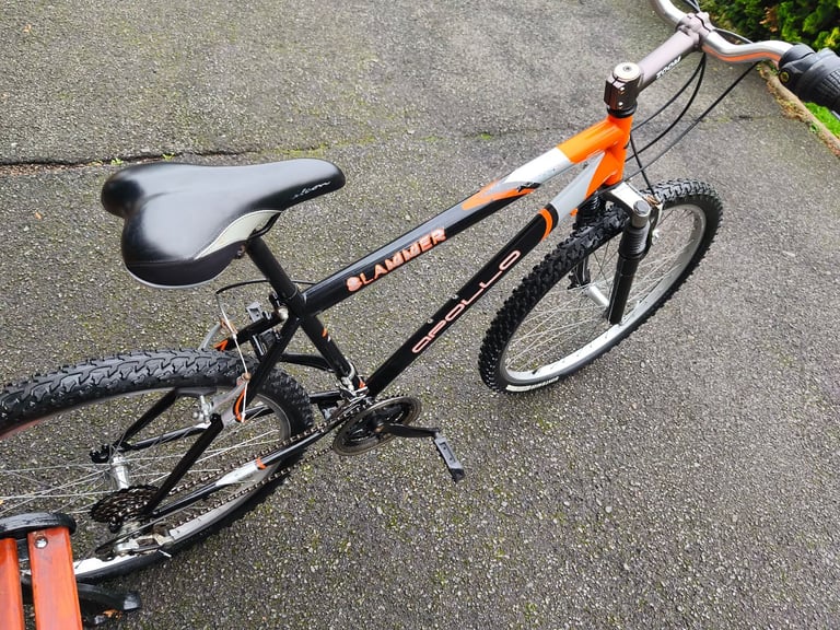 Small adults bike 