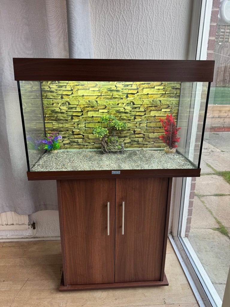 Juwel Rio 125 Aquarium and Cabinet With light