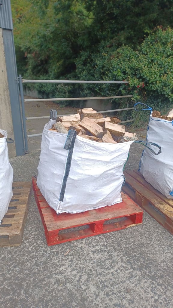 Hardwood Ash logs 