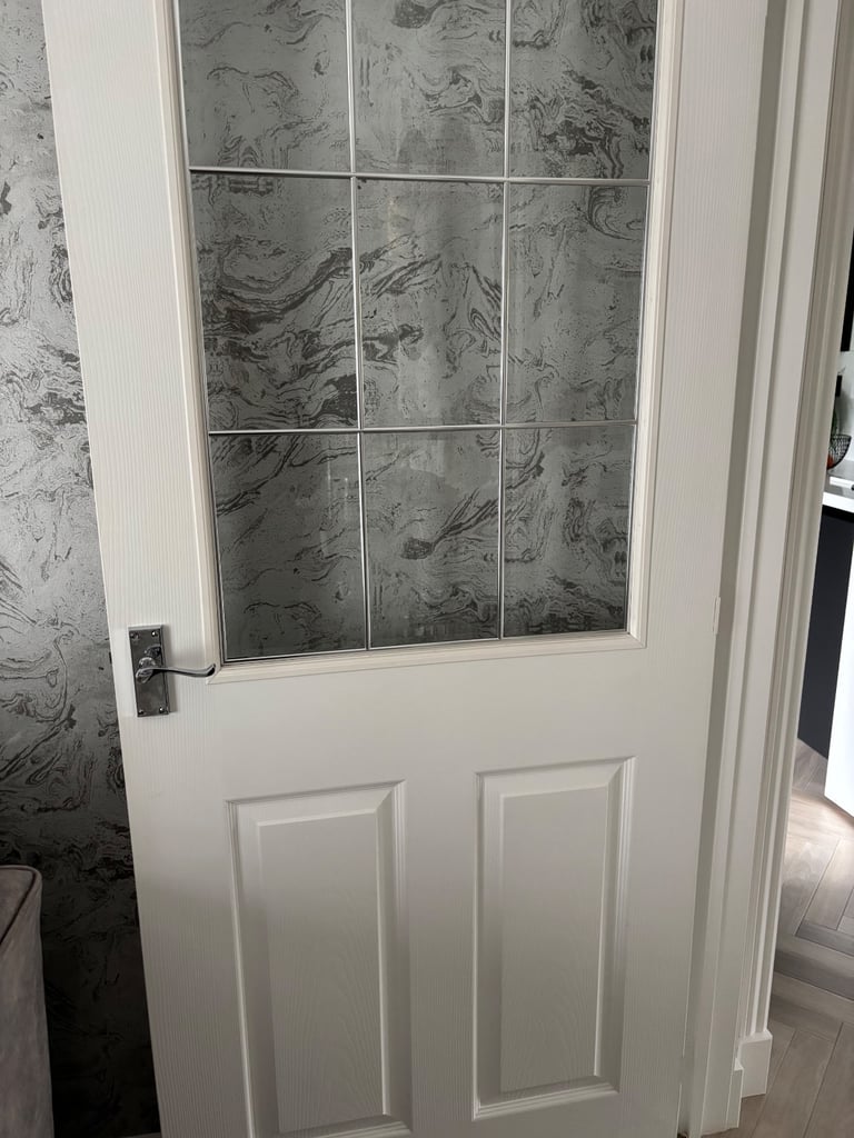 image for Half panel internal door with glass and silver bar