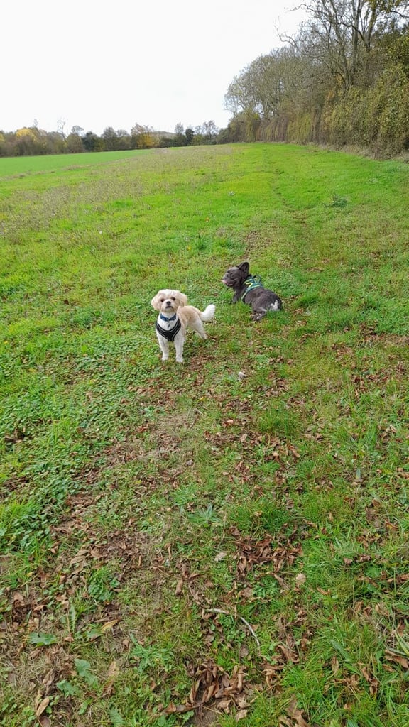 Heartbreaking decision