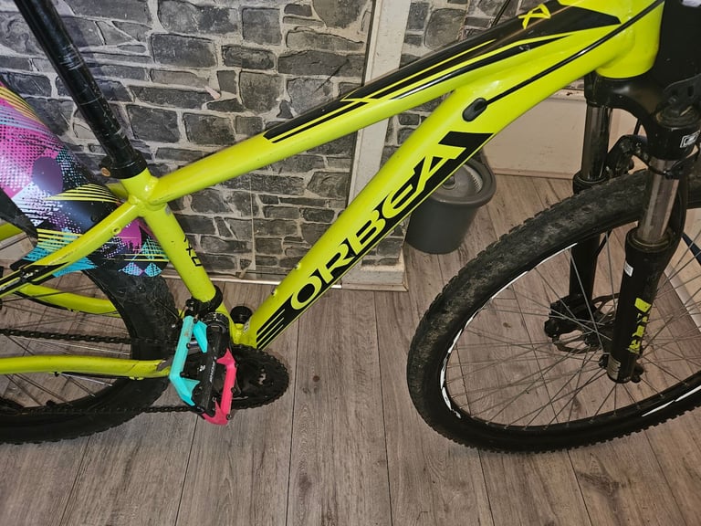 Orbea mountain bike