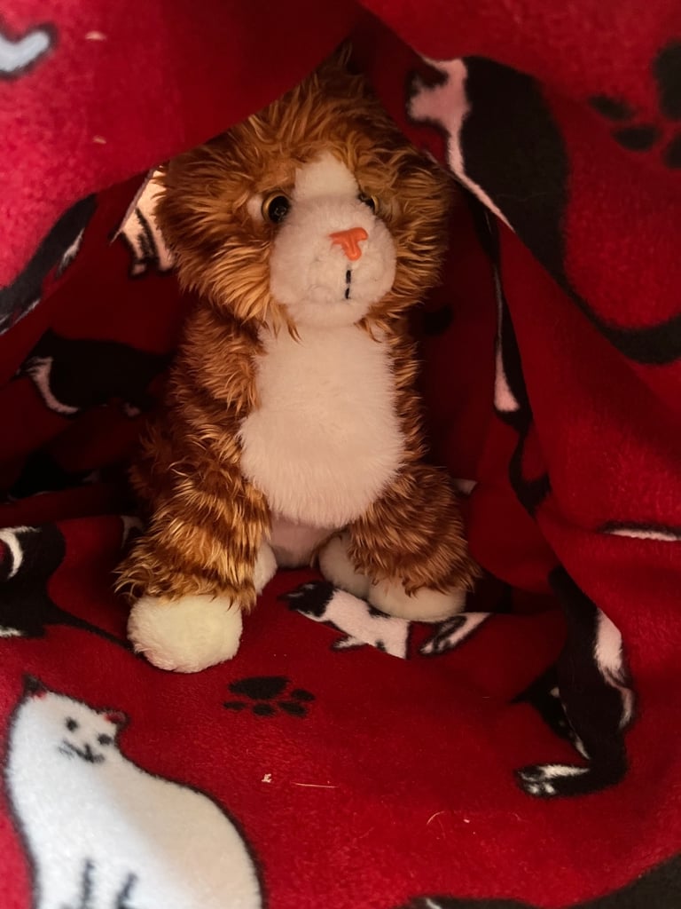 5 cat snuggle sacks