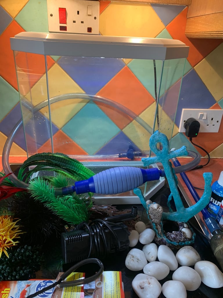 Fishtank and accessories 
