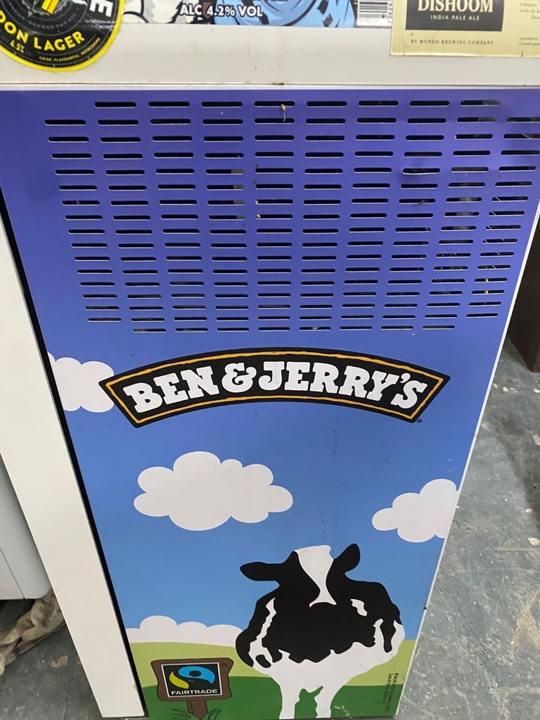 Walls Commercial IceCream Freezer 