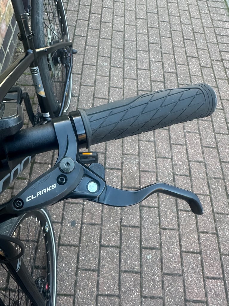 Carrera 250W Electric Bike