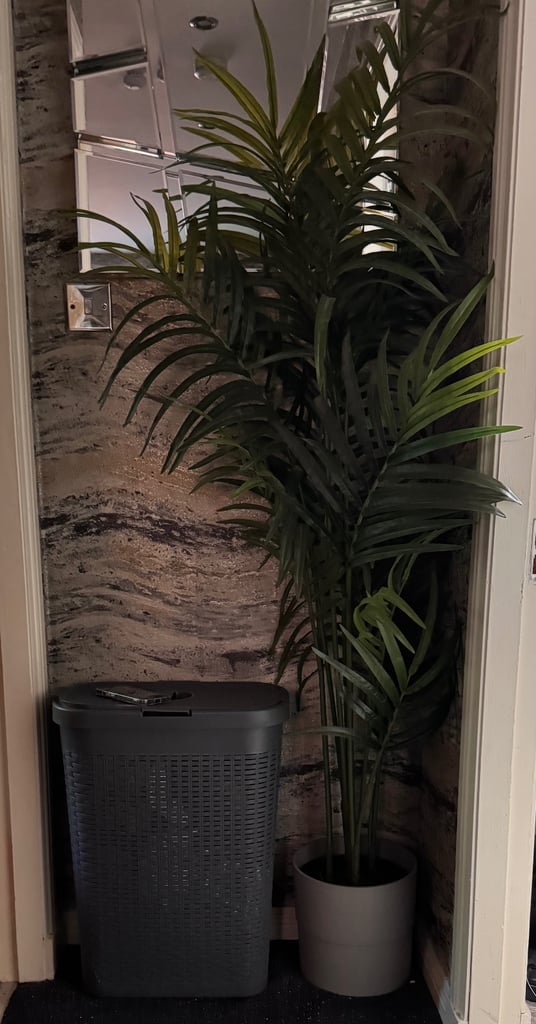 image for IKEA Plant with Pot 