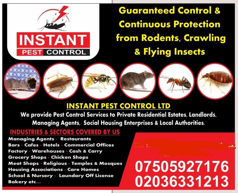 Local Pest Control NPTA 100% Guaranteed Mice Rat Bedbug Ants Cockroach Moth Flea Mouse Proofing