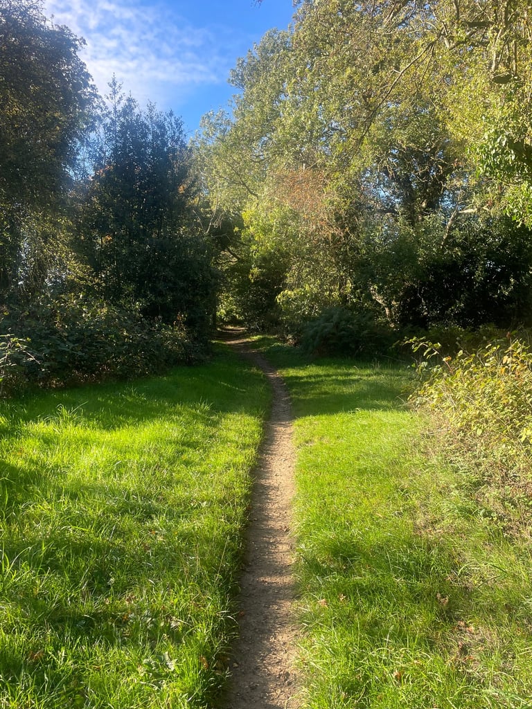 Live in Carer / Domestic Help available 