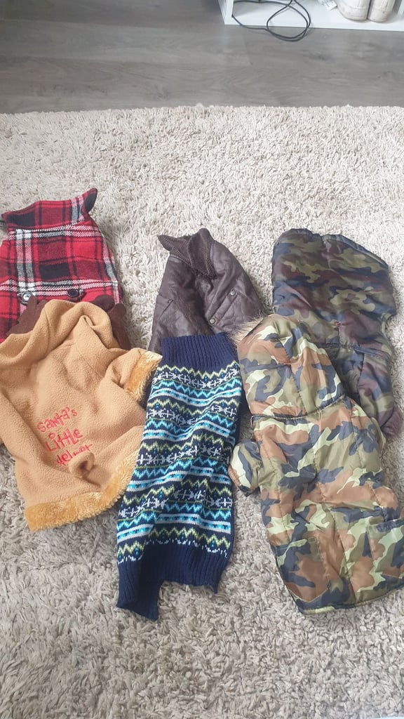  dog jackets 