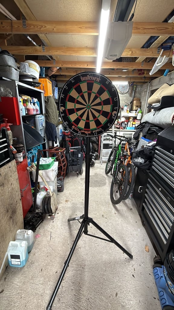 image for Dartboard and stand 