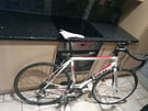 Bike Trek 1.2 alpha road bike + free local delivery