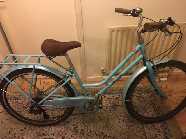 Probike vintage ladies shop