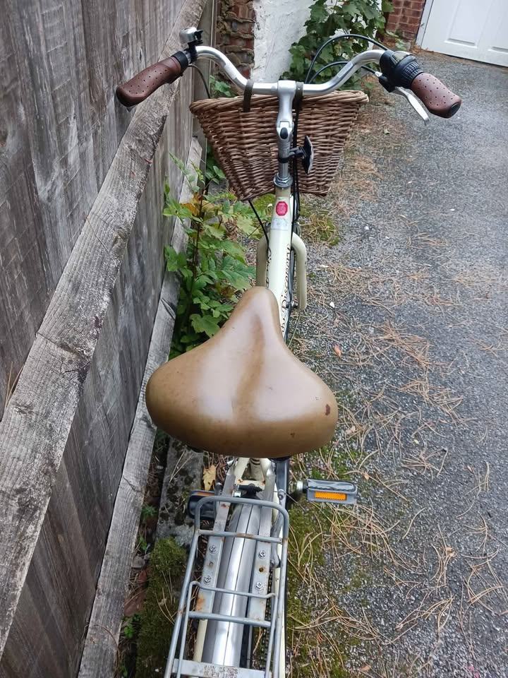 Ladies Town Bike