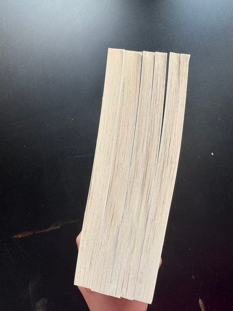 Amelia Jane by Enid Blyton - 5 Books Set