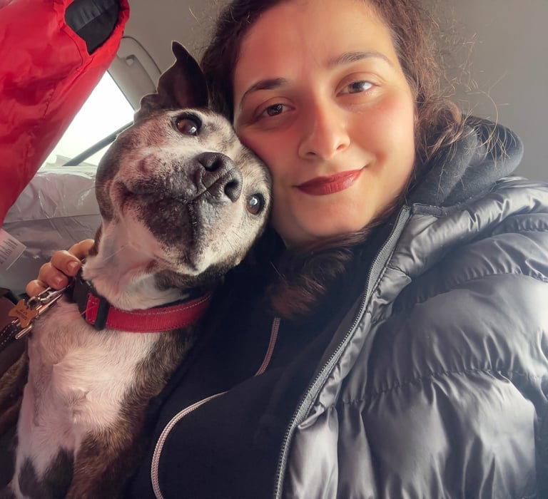 image for Reliable Pet Sitter + Pet Taxi in Stoke-on-Trent and surrounding areas| | 10+  Years Experience