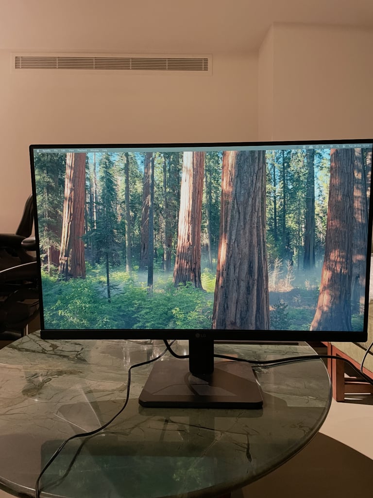 image for LG 24MR400 23.8" Full HD IPS 75Hz Monitor - Black