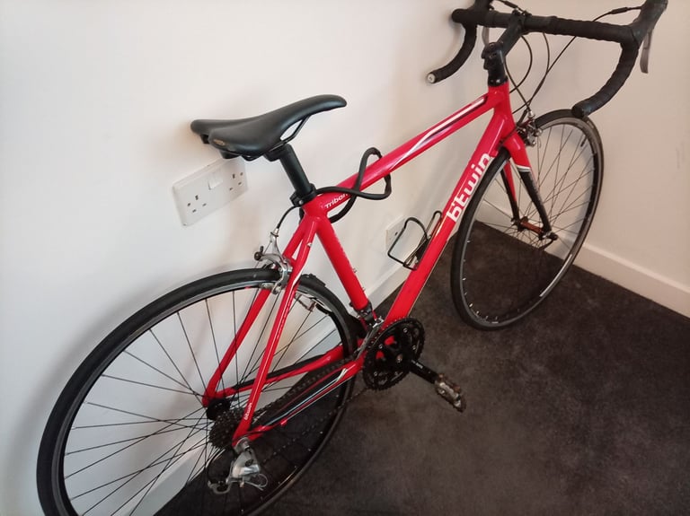 Adult Road Bike