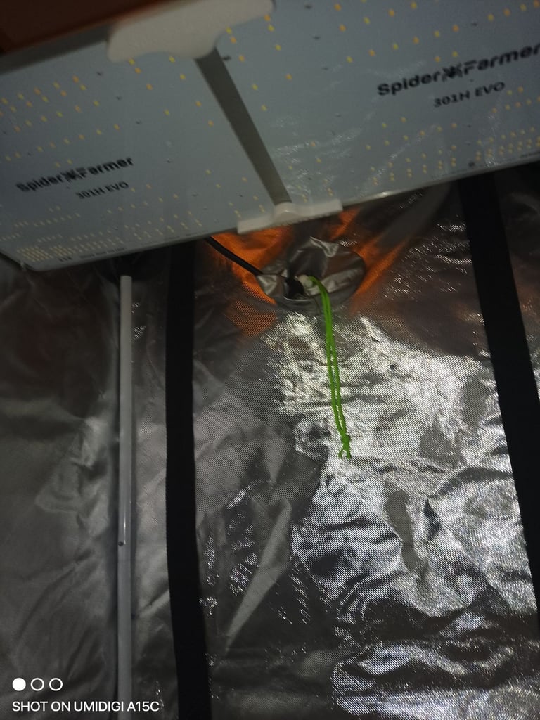 Grow tent and LED light 