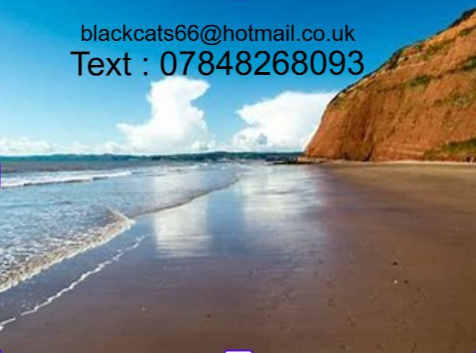 Two Bedroom Front Row Caravan for Hire DEVON CLIFFS SANDY BAY EXMOUTH DEVON