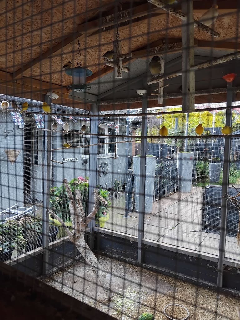 Bird avairy  open to offers 