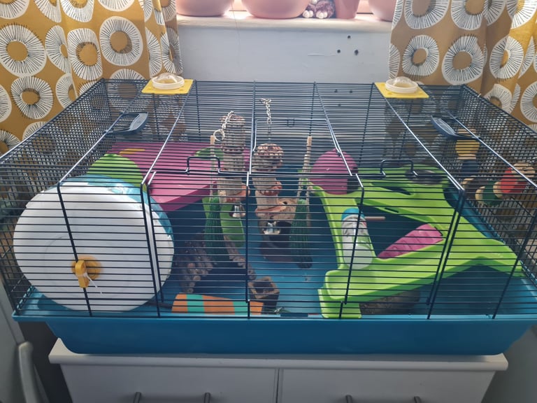 image for Small animal cage 