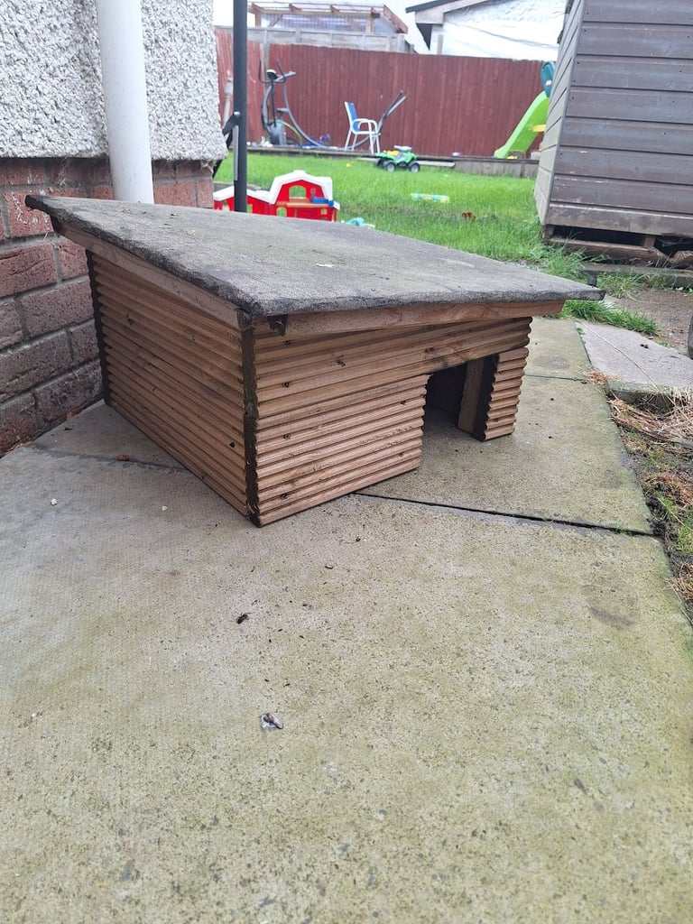 Hedgehogs shelter