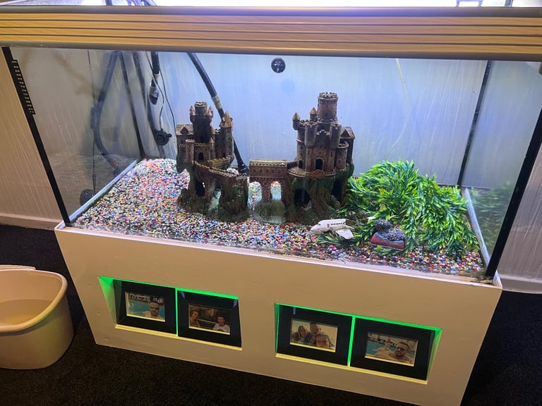 image for Full set up fish tank 