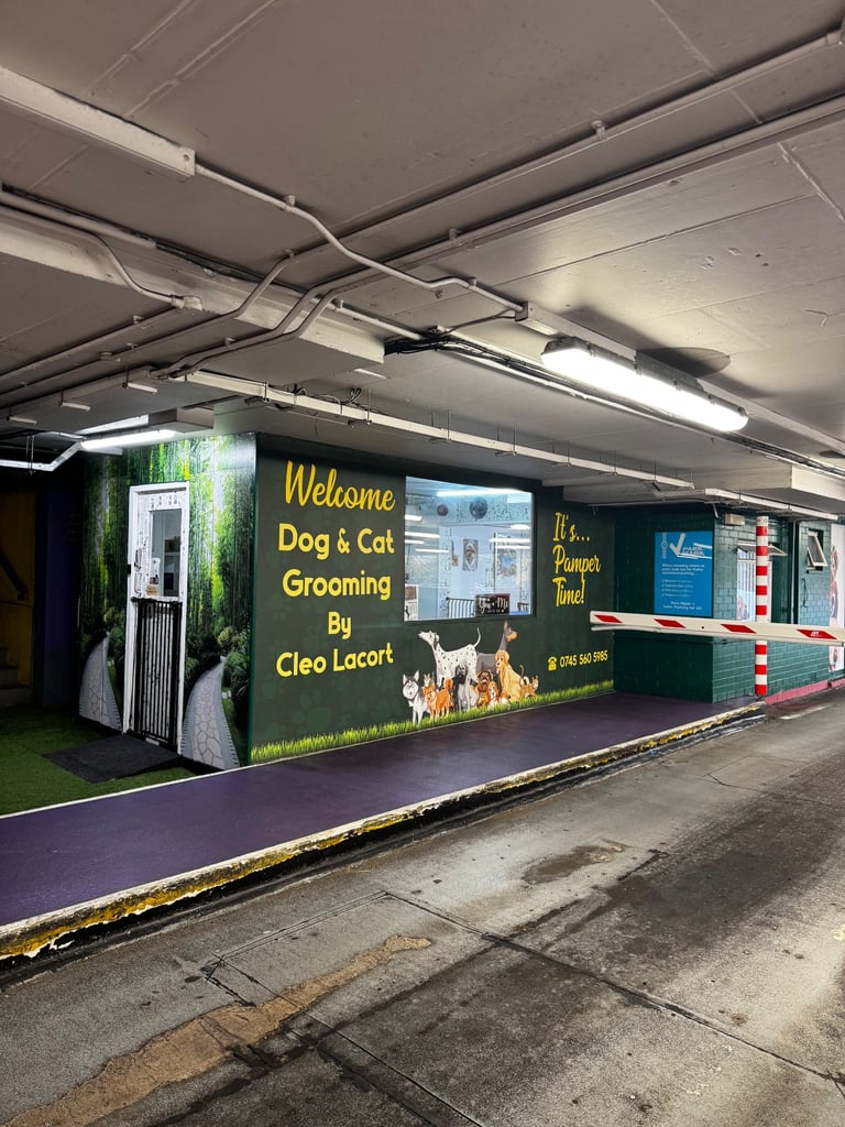 image for Dog Grooming Business for Sale