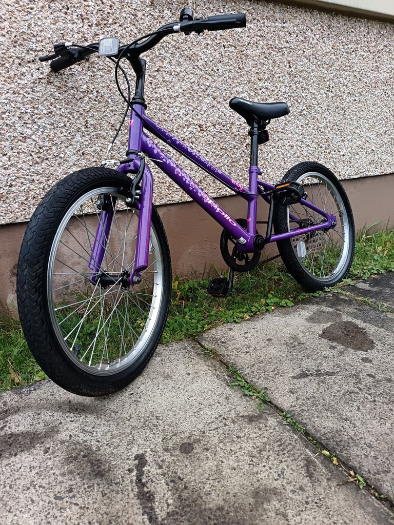 Apollo Junior bike 20 inch