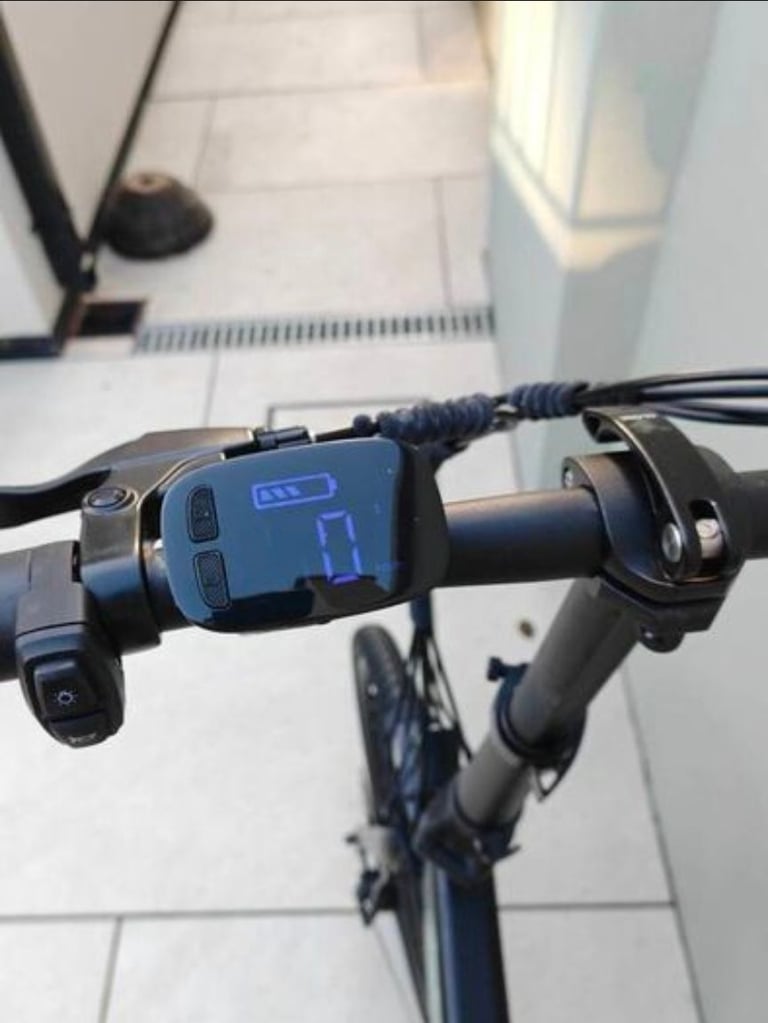 Fiido D4S Folding Electric Bike