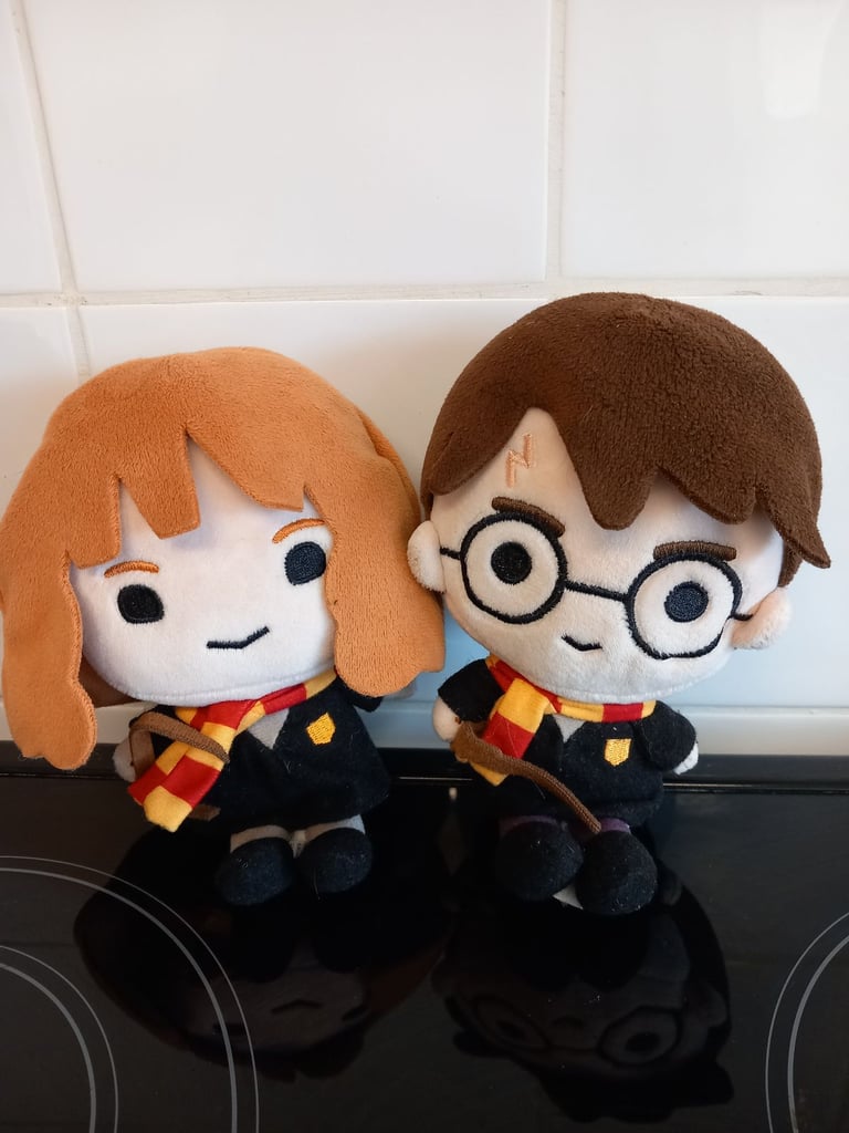 image for Harry Potter and Hermione 