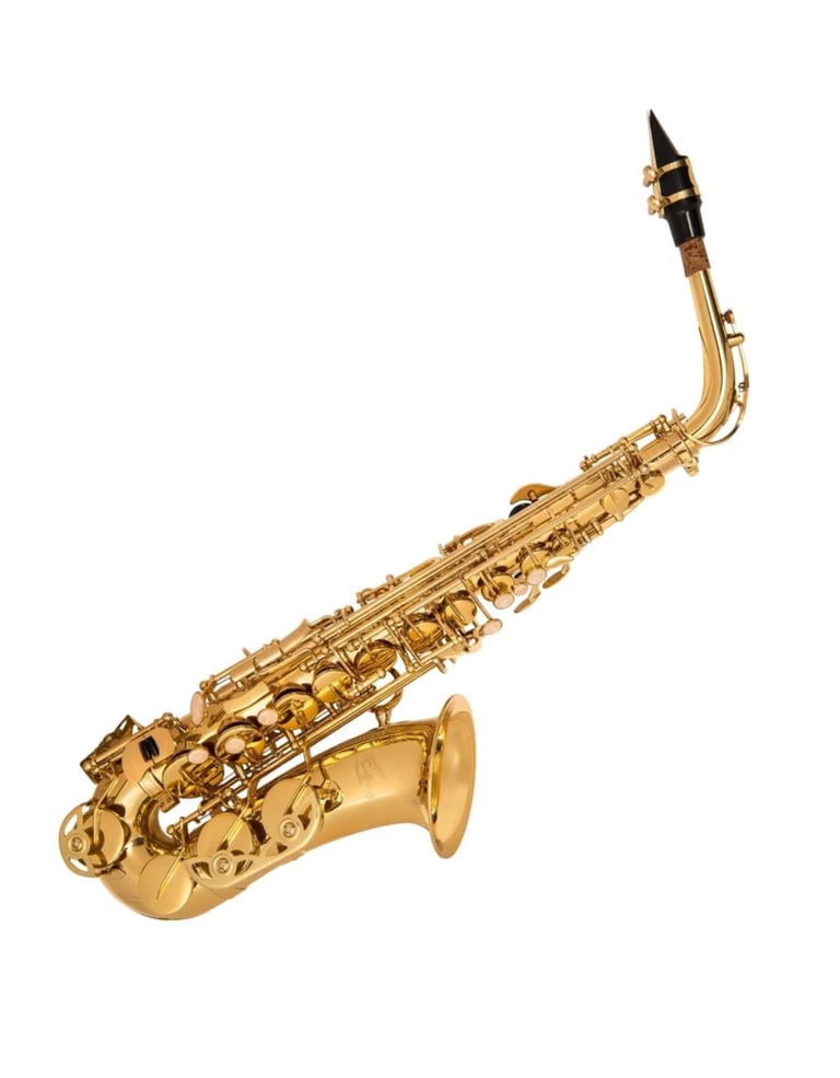Odyssey debut Eb Alto saxaphone outfit 