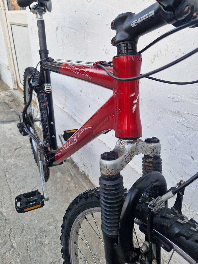 Adults bike 