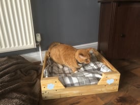 Cat Bed made from 100% reclaimed timber