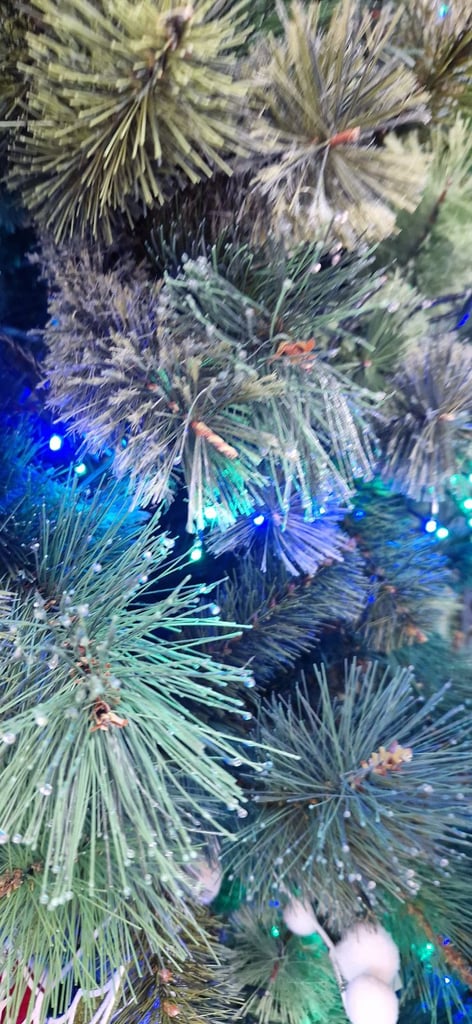The Range 6.5ft Kensington Traditional Christmas Tree by Festive Forest.