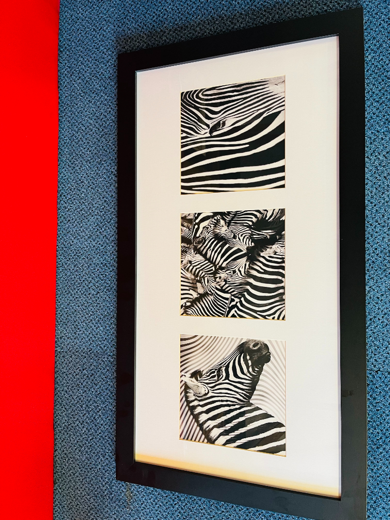 ZEBRA BLACK & WHITE FRAMED LARGE PRINT PICTURE